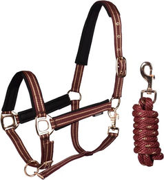Produktbild von Set aus Halfter und Longiergurt für Pferde Horka Deluxe