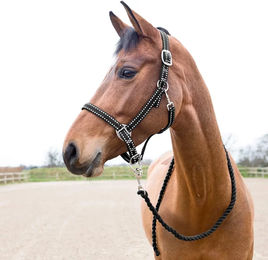 Produktbild von Set aus Halfter und Longiergurt für Pferde Horze Cooper