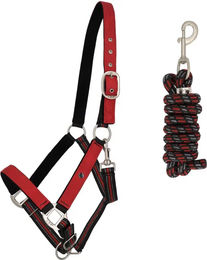 Produktbild von Set aus Halfter und Longiergurt für Pferde QHP