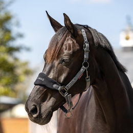 Produktbild von Set aus Halfter und Longiergurt LeMieux Vogue