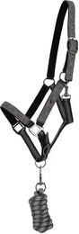 Produktbild von Set aus Halfter und Longiergurt QHP