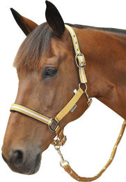 Produktbild von Set Halfter und Longiergurt aus Lurex Canter