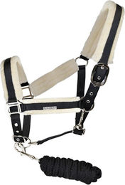 Produktbild von Set Halfter und Longiergurt für Pferde Flags&Cup Velta