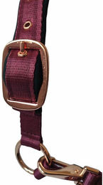 Produktbild von Set Longe + Halfter Daslö Gold