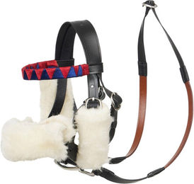 Produktbild von Set von Rennzügeln für Plüschtiere LeMieux Toy Pony