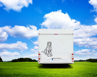 Produktbild von Shar Pei Auto Wohnmobil Aufkleber