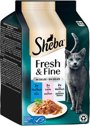 Produktbild von Sheba Fresh & Fine Nassfutter Thunfisch, Lachs & Weißfisch in Gelee - 6 x 50 g