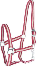 Shetty-Nylon-Halfter Kerbl hippo – Bild 1 von 2