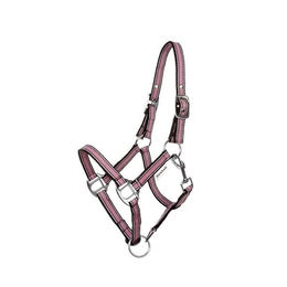 Shettyhalfter Shorty – Bild 1 von 3