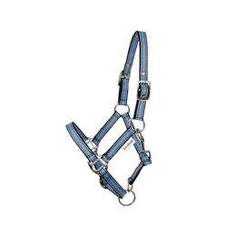 Shettyhalfter Shorty – Bild 1 von 3