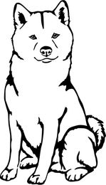 Produktbild von Shiba Inu Sheepdog Grafiklizenz