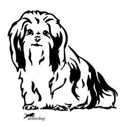 Produktbild von Shih Tzu Grafiklizenz