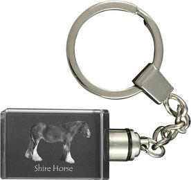 Produktbild von Shire - Crystal pendant with photo of a horse, illuminated pendant, unique gift by Art-Dog brand transparent