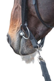 Produktbild von Shires Longier-Adapter