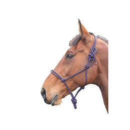 Shires Rope Control Halfter Violett/Schwarz – Bild 1 von 4
