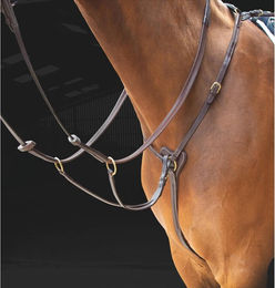Produktbild von Shires Salisbury 3 Point Springreiten Cob