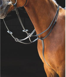 Produktbild von Shires Salisbury Martingale Black Pony