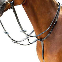 Shires Salisbury Martingale-Laufschuh Schwarz – Bild 1 von 2