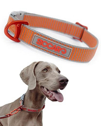 Produktbild von SICCARO Hunde-Halsband Sealines silber Gr. S