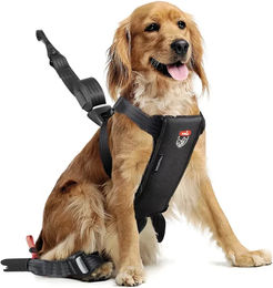 Produktbild von Sicherheitsgeschirr für Hunde Zolux Travel