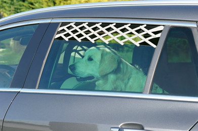 Produktbild von Sicherheitsgitter Autofenster für Hunde Zolux