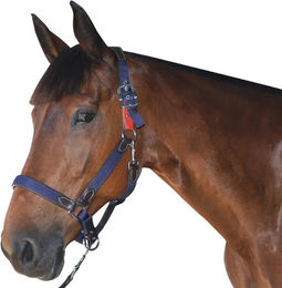 Produktbild von Sicherheitshalfter Flags&Cup