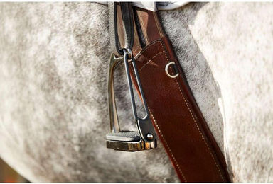 Produktbild von Sicherheitssteigbügel HorseGuard Safety