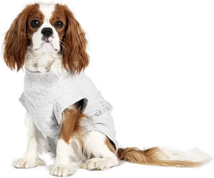 Produktbild von Sicherheitsweste für Hunde Flamingo