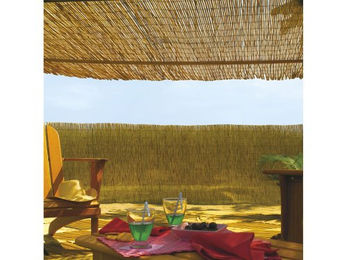 Produktbild von Sichtschutz aus feinem Schilfrohr Nortene Reedcane