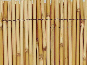 Sichtschutz aus feinem Schilfrohr Nortene Reedcane – Bild 1 von 2