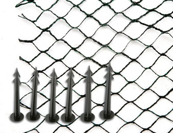 Produktbild von Siena Garden Teichabdecknetz CORDATA 5x6m schwarz/grün - 30 m