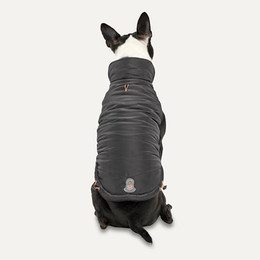 Produktbild von Signature Jacke mit Stehkragen für Hunde