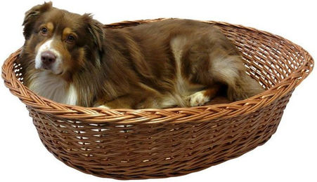 Produktbild von Silvio Design Ruhekorb mit Kissen Weide natur, Kissen braun