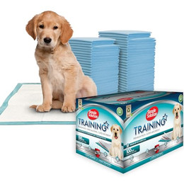 Produktbild von Simple Solution Absorbierende Premium Hunde- und Welpentrainingspads
