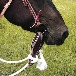 Produktbild von Slobber Bar