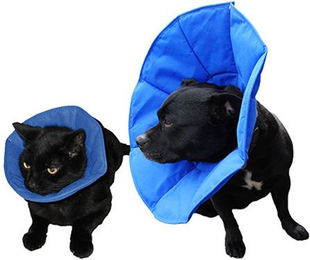 SoftE Smart Collar - 14 cm – Bild 1 von 4