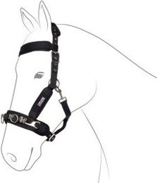 Softie Kappzaum Sofprene VB/ COB (Vollblut) – Bild 1 von 2