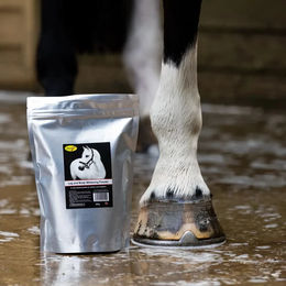 Produktbild von Soin für Pferde Pulver Smart Grooming