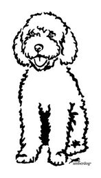 Produktbild von Spanischer Wasserhund Grafiklizenz