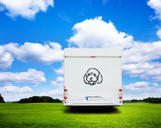 Produktbild von Spanischer Wasserhund Kopf Silhouette Auto Wohnmobil Aufkleber