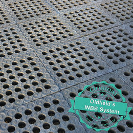 Produktbild von SparPaket 210 qm INB® Paddockplatten -inkl. Lieferung ab Werk-