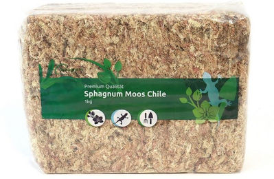 sphagnum-shop.com Terrarien-Substrat Sphagnum Moos aus Chile für Terrarium und Orchideen, Chilenische Premium-Qualität, Ideal für Pflanzenpflege & Terraristik – Bild 1 von 5