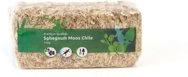 sphagnum-shop.com Terrarien-Substrat Sphagnum Moos aus Chile für Terrarium und Orchideen, Chilenische Premium-Qualität, Ideal für Pflanzenpflege & Terraristik – Bild 1 von 5