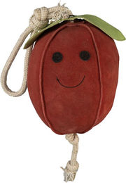 Produktbild von Spielzeug für Pferde Horka Fruits