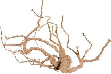 Produktbild von Spinnenwurzel für das Aquarium Zolux