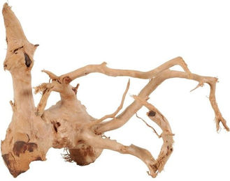 Produktbild von Spinnenwurzel für das Aquarium Zolux