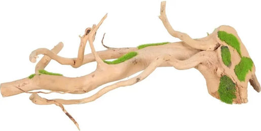 Produktbild von Spinnenwurzel für das Aquarium Zolux kipouss