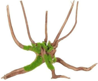 Produktbild von Spinnenwurzel für das Aquarium Zolux kipouss