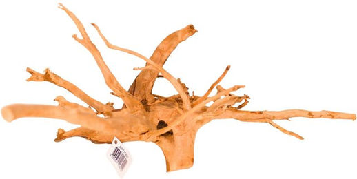 Produktbild von Spinnenwurzel Reptiles Planet T3