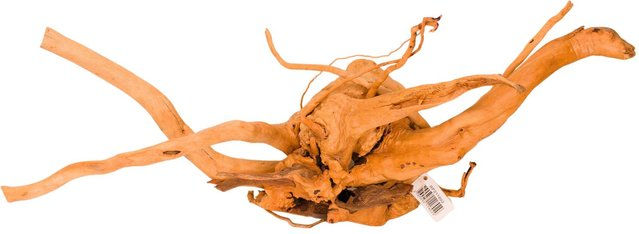 Produktbild von Spinnenwurzel Reptiles Planet T4